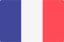french_flag